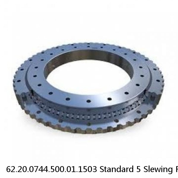 62.20.0744.500.01.1503 Standard 5 Slewing Ring Bearings