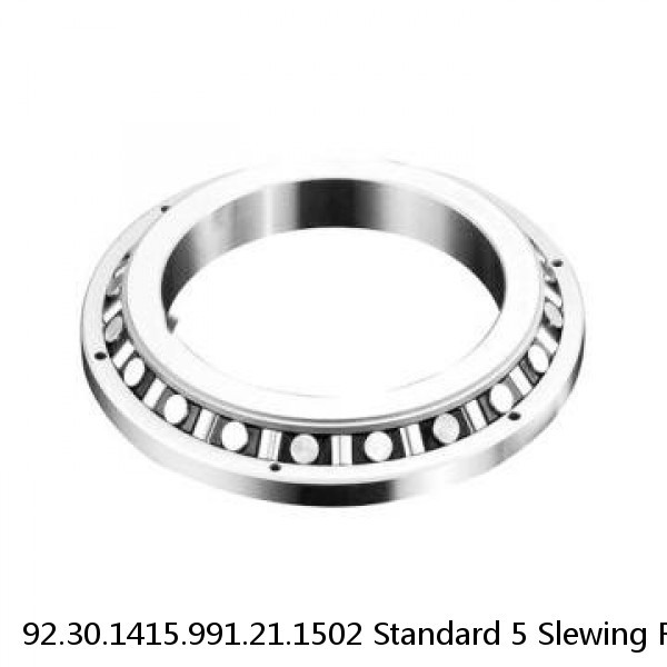 92.30.1415.991.21.1502 Standard 5 Slewing Ring Bearings