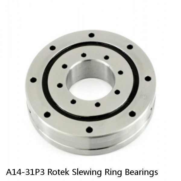 A14-31P3 Rotek Slewing Ring Bearings