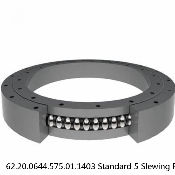 62.20.0644.575.01.1403 Standard 5 Slewing Ring Bearings