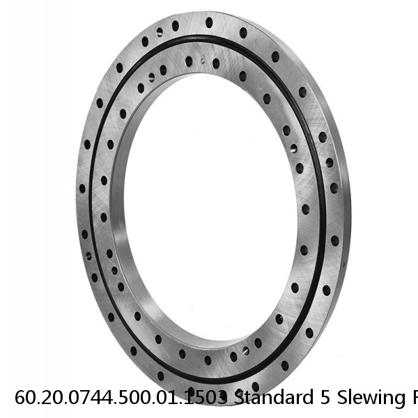 60.20.0744.500.01.1503 Standard 5 Slewing Ring Bearings