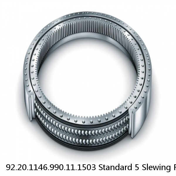 92.20.1146.990.11.1503 Standard 5 Slewing Ring Bearings