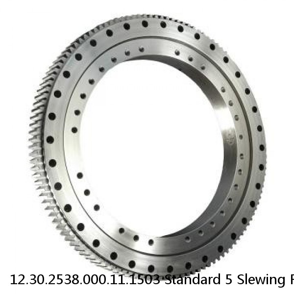 12.30.2538.000.11.1503 Standard 5 Slewing Ring Bearings