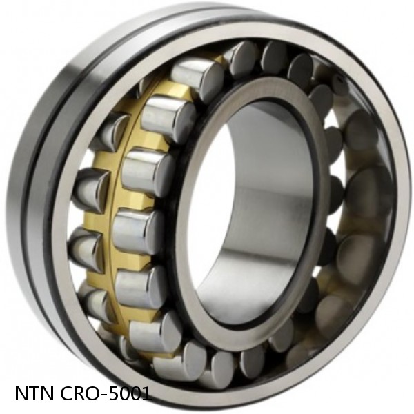 CRO-5001 NTN Cylindrical Roller Bearing