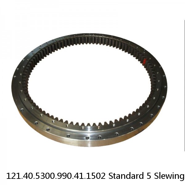121.40.5300.990.41.1502 Standard 5 Slewing Ring Bearings