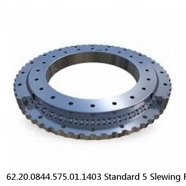62.20.0844.575.01.1403 Standard 5 Slewing Ring Bearings