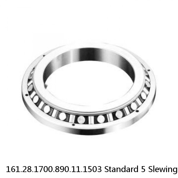 161.28.1700.890.11.1503 Standard 5 Slewing Ring Bearings