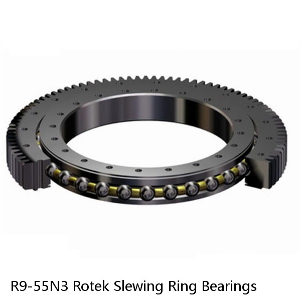 R9-55N3 Rotek Slewing Ring Bearings