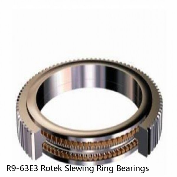 R9-63E3 Rotek Slewing Ring Bearings