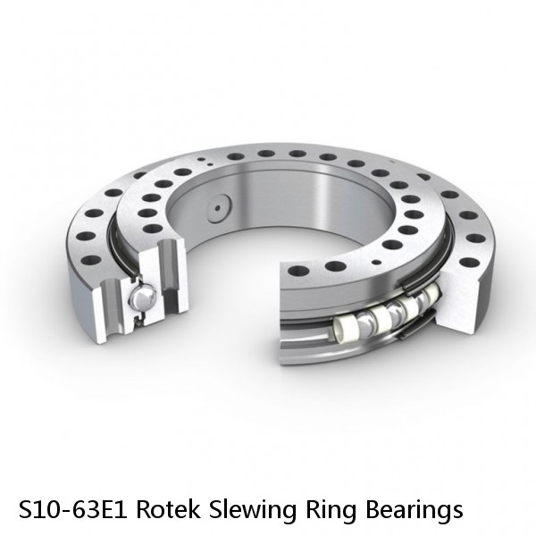 S10-63E1 Rotek Slewing Ring Bearings