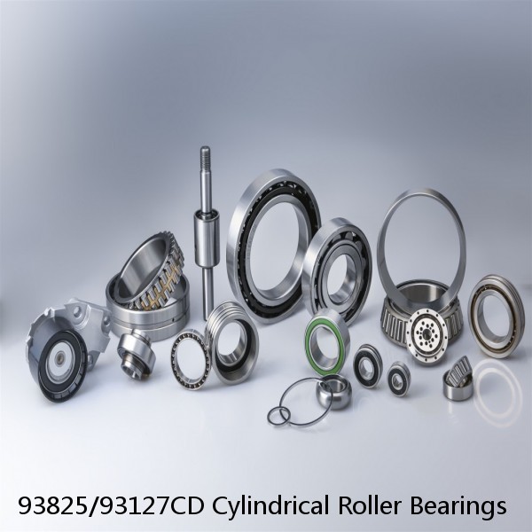 93825/93127CD Cylindrical Roller Bearings