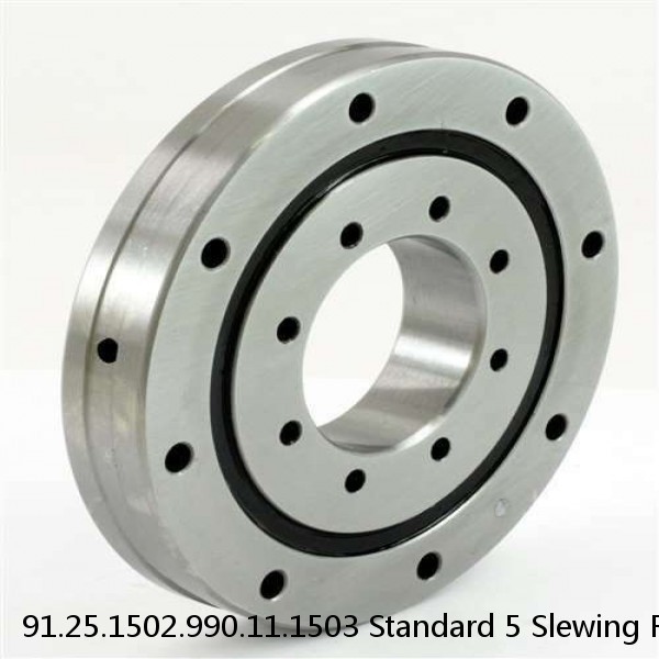 91.25.1502.990.11.1503 Standard 5 Slewing Ring Bearings