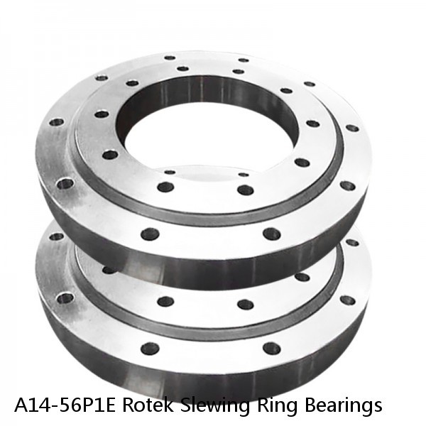 A14-56P1E Rotek Slewing Ring Bearings