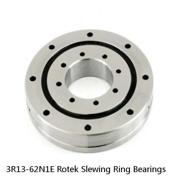 3R13-62N1E Rotek Slewing Ring Bearings