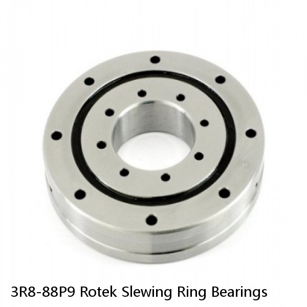 3R8-88P9 Rotek Slewing Ring Bearings