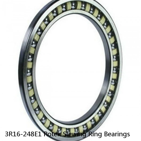 3R16-248E1 Rotek Slewing Ring Bearings