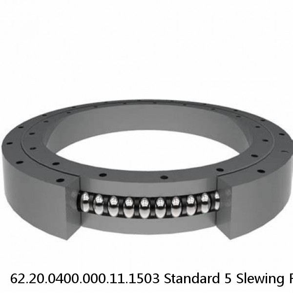 62.20.0400.000.11.1503 Standard 5 Slewing Ring Bearings