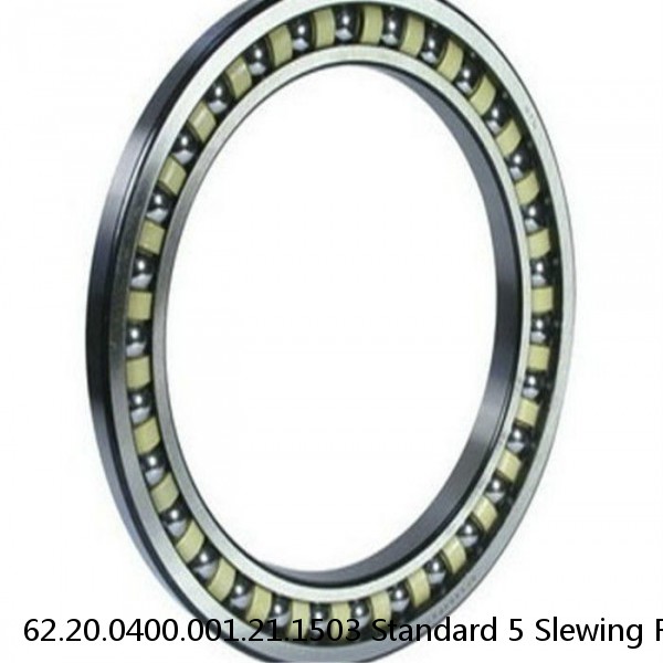 62.20.0400.001.21.1503 Standard 5 Slewing Ring Bearings
