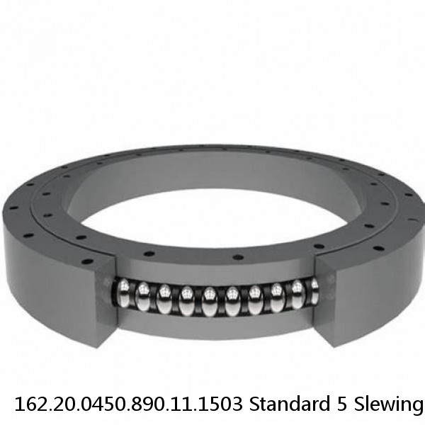 162.20.0450.890.11.1503 Standard 5 Slewing Ring Bearings