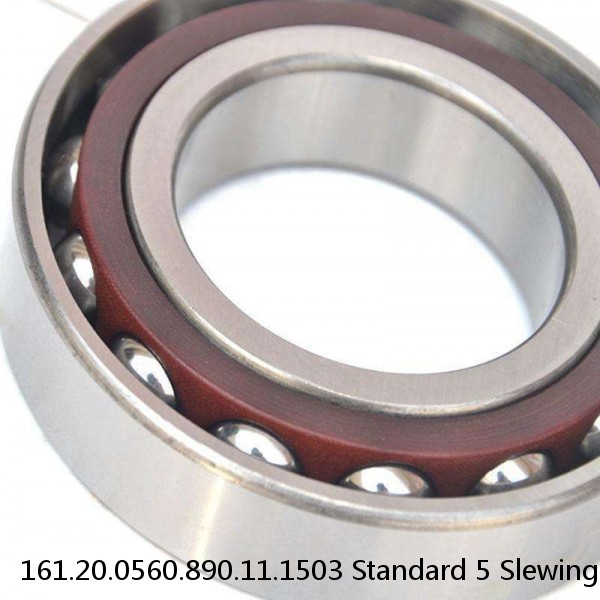 161.20.0560.890.11.1503 Standard 5 Slewing Ring Bearings