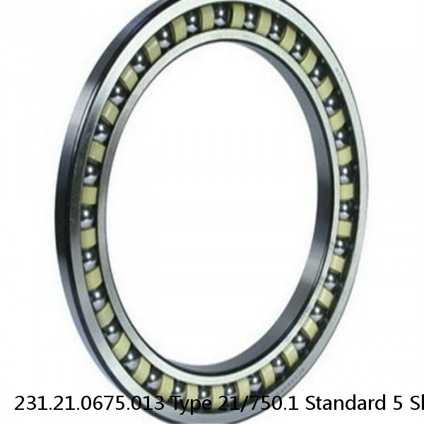 231.21.0675.013 Type 21/750.1 Standard 5 Slewing Ring Bearings