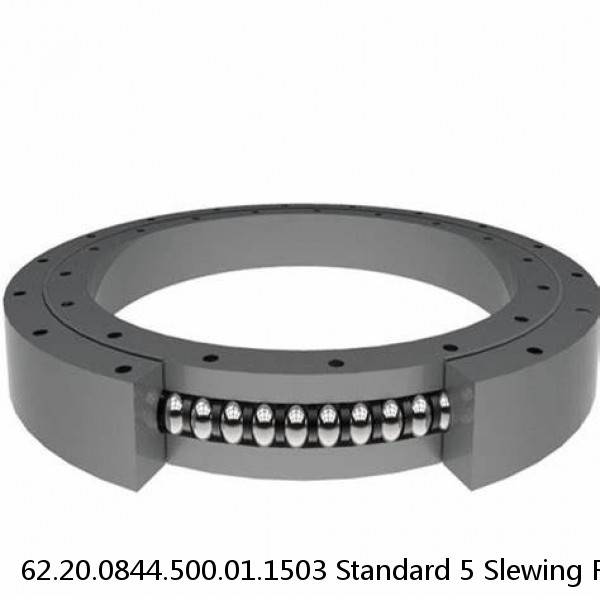 62.20.0844.500.01.1503 Standard 5 Slewing Ring Bearings