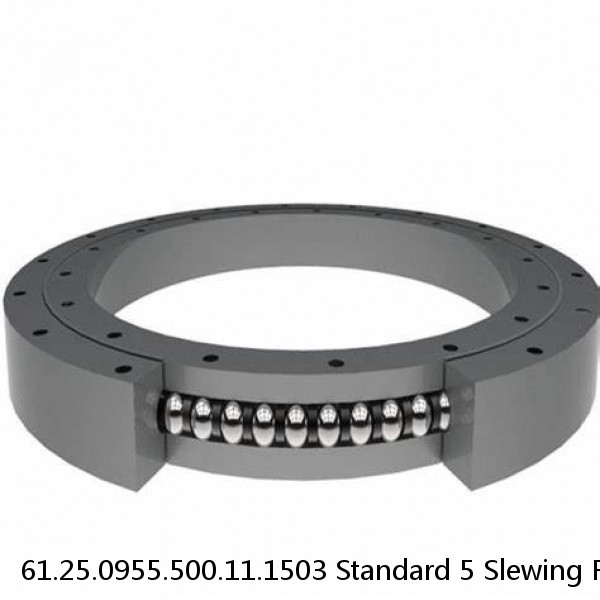 61.25.0955.500.11.1503 Standard 5 Slewing Ring Bearings