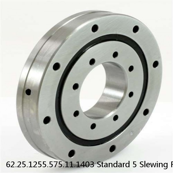 62.25.1255.575.11.1403 Standard 5 Slewing Ring Bearings