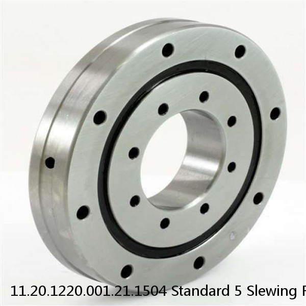 11.20.1220.001.21.1504 Standard 5 Slewing Ring Bearings