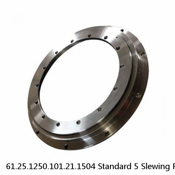 61.25.1250.101.21.1504 Standard 5 Slewing Ring Bearings