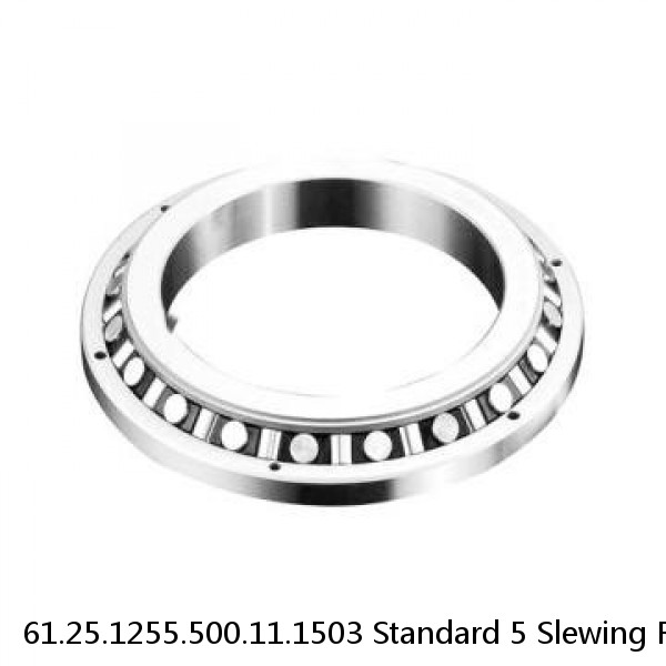 61.25.1255.500.11.1503 Standard 5 Slewing Ring Bearings