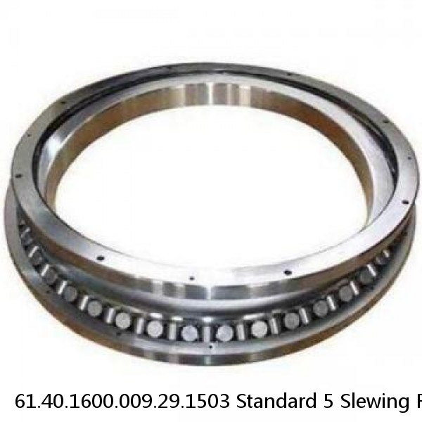 61.40.1600.009.29.1503 Standard 5 Slewing Ring Bearings