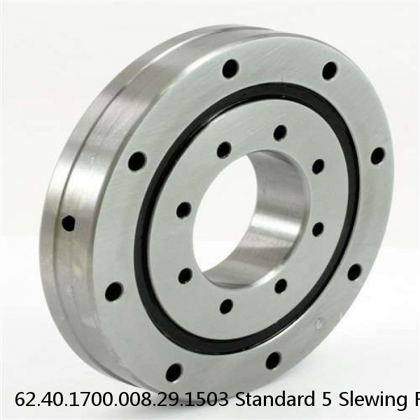 62.40.1700.008.29.1503 Standard 5 Slewing Ring Bearings