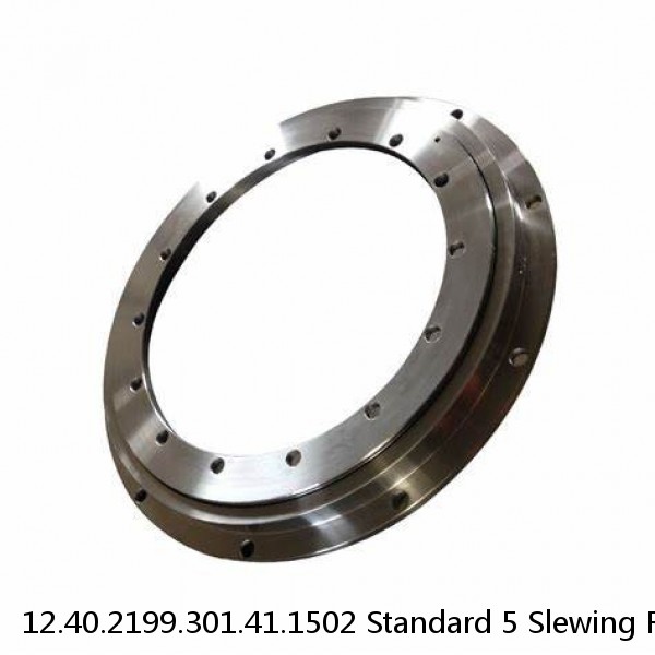 12.40.2199.301.41.1502 Standard 5 Slewing Ring Bearings