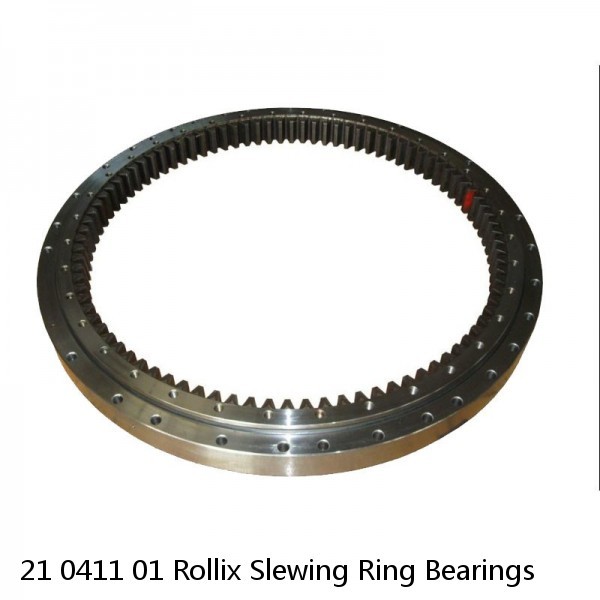 21 0411 01 Rollix Slewing Ring Bearings