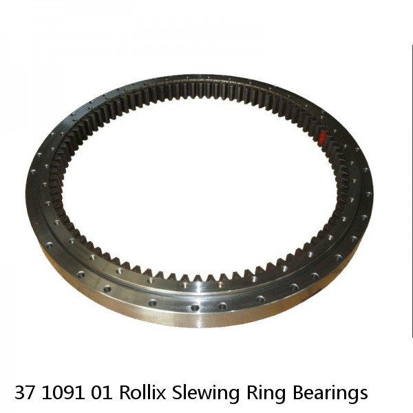 37 1091 01 Rollix Slewing Ring Bearings