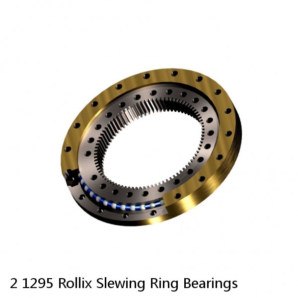 2 1295 Rollix Slewing Ring Bearings